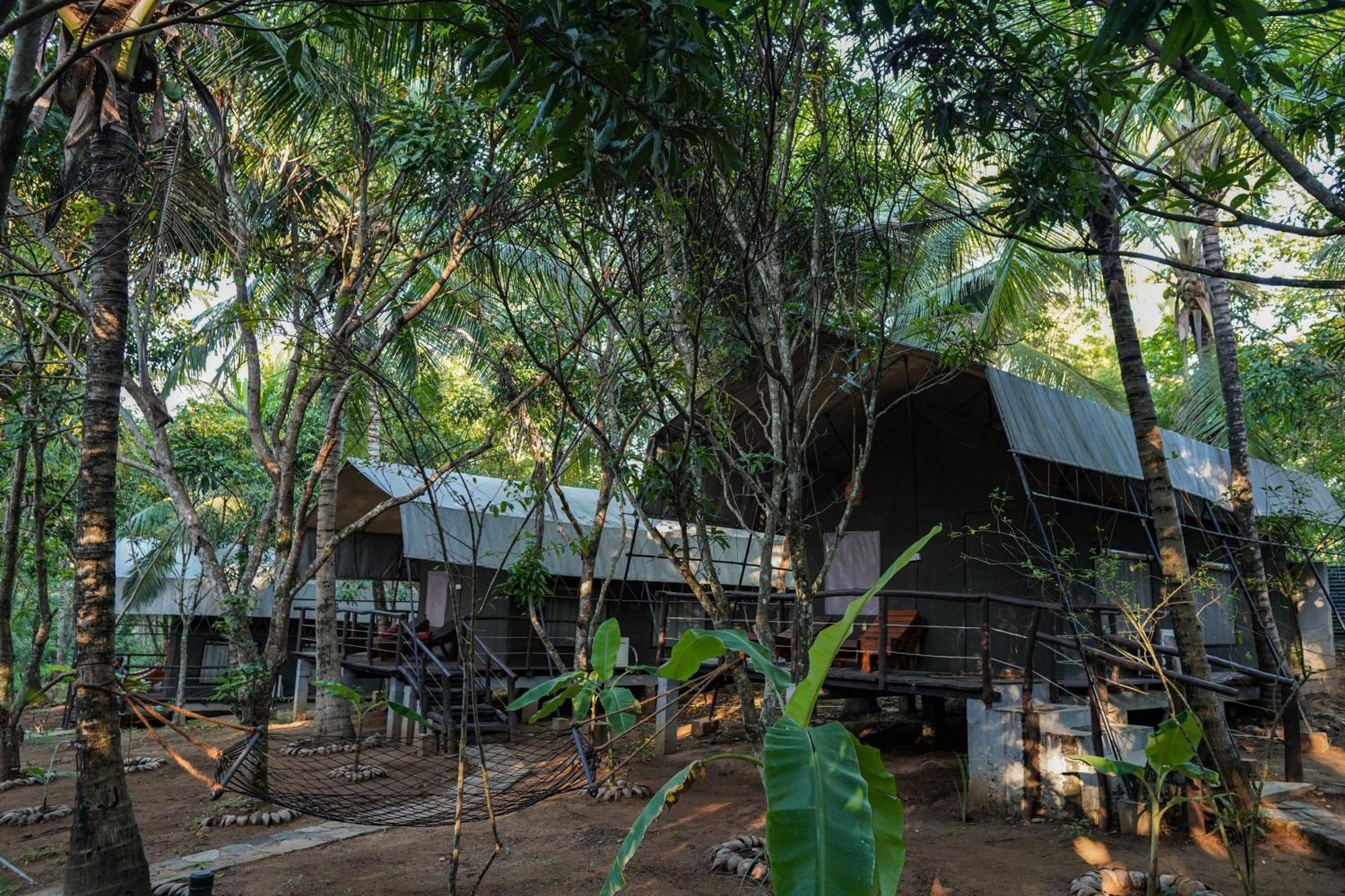 River Glamping By Gaga Bees Udawalawe Dış mekan fotoğraf