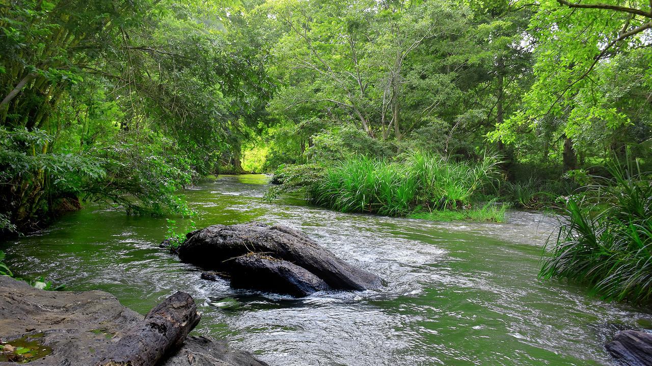 River Glamping By Gaga Bees Udawalawe Dış mekan fotoğraf